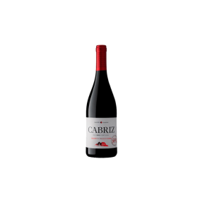Cabriz